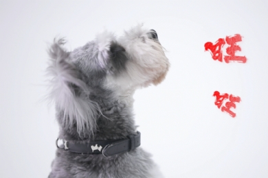 �Ǿ�ӭ�£����ʲ�ͣ