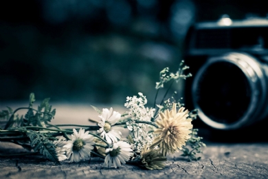 һ����������Ů��ʲô���ӵģ�