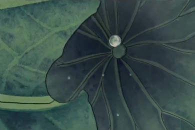 ��԰�ż��ף�����ʮ����